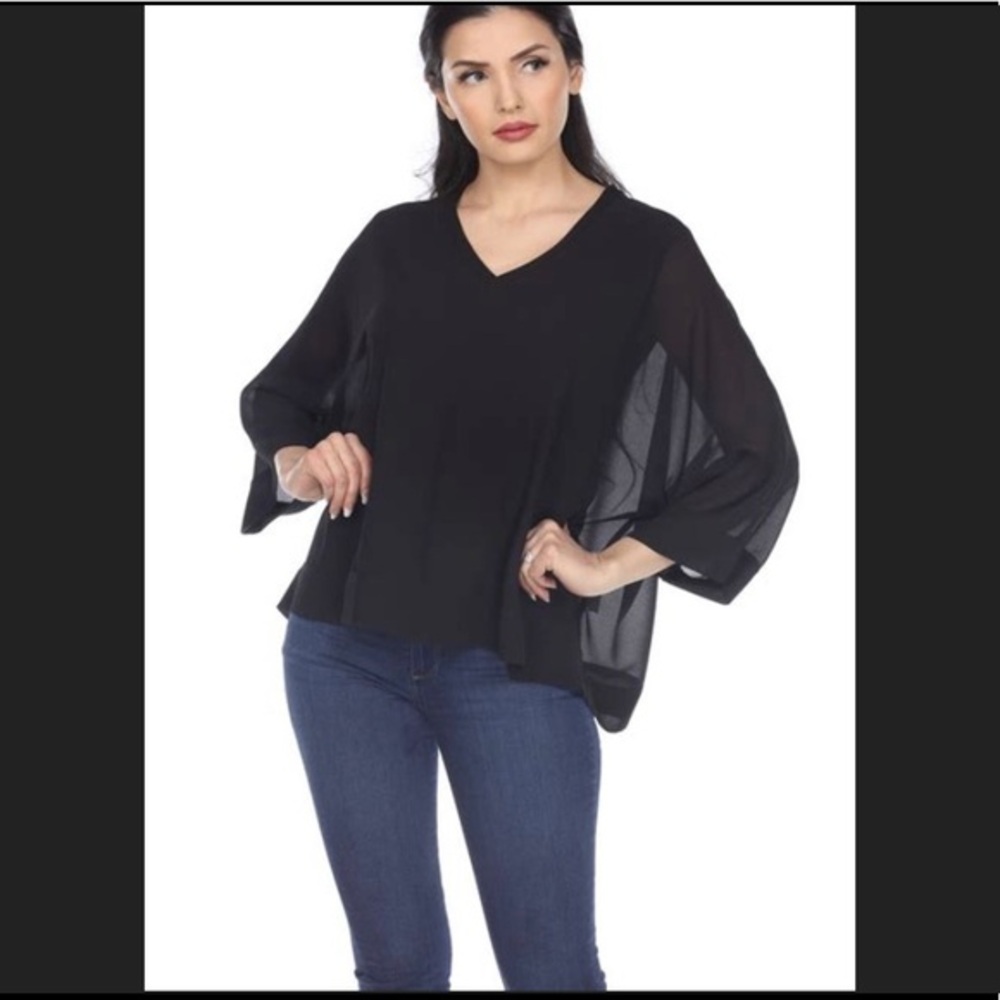 ZARA layered sheer sleeve top - Picture 1 of 9